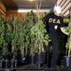 Yeah. These fucking guys kick in your door for having pot plants. It’s unlikely they’d be cool with dosing an entire counties water supply with mind control drugs. Just sayin.